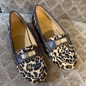 Coach Fredrica Animal Print Loafers with Dark Brown Trim